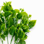 32cm Artificial Leafy Foliage Stem Plant Faux Green Decorative Fillers