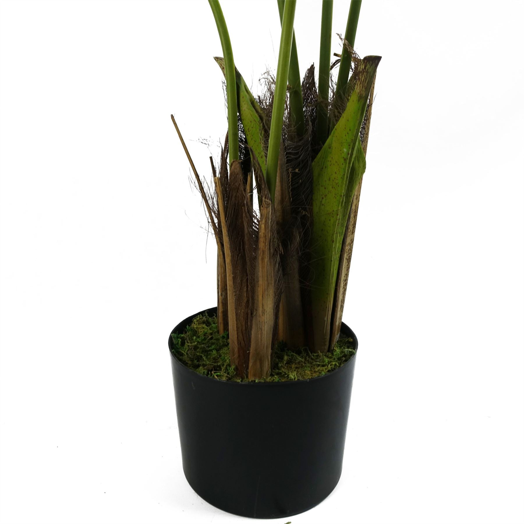 Artificial 120cm Kentia Palm Tree