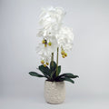 Artificial 60cm Pure White Orchid with Ceramic Bubble Planter