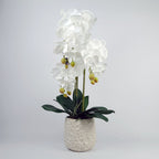 Artificial 60cm Pure White Orchid with Ceramic Bubble Planter