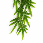 80cm Artificial Trailing Fern Leaf Plant Hanging Faux Greenery Vine