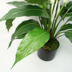 Artificial White Spathiphyllum Peace Lily