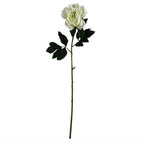 80cm Artificial Cream Peony Stem