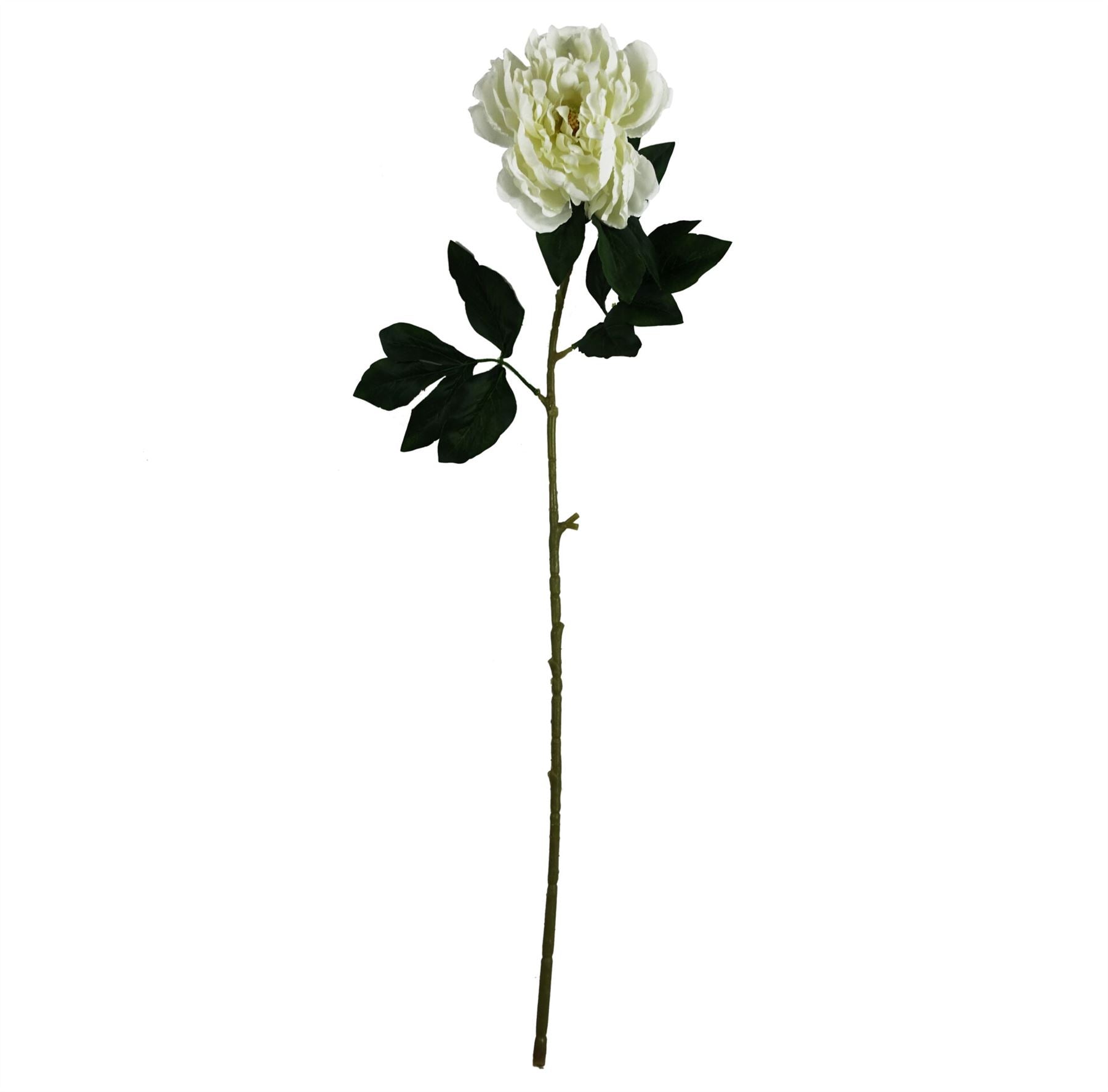 80cm Artificial Cream Peony Stem