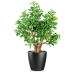 70cm Artificial Deluxe Jade Plant