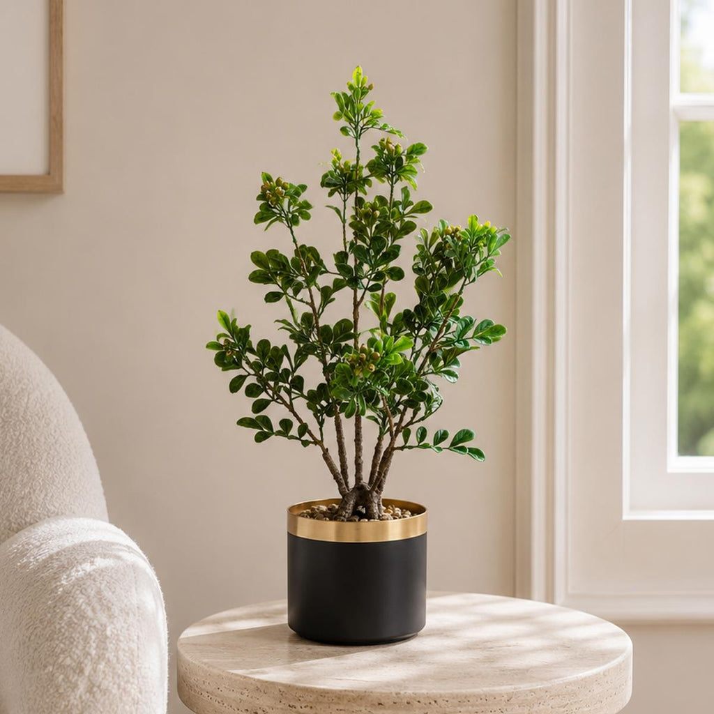 60cm Artificial Aglaia Odorata Bonsai Ficus Tree