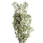 85cm Artificial Gypsophila White Stem