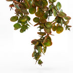 75cm Artificial Trailing Round Leaf Foliage Plant Autumn Green Bronze