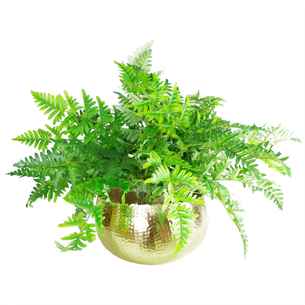 Leaf XL Metal Bowl Planter 32 x 20cm Hammered Gold Colour Curvy Edge