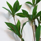 55cm Artificial Laurel Leaf Spray Stem