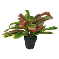 40cm Artificial Codiaeum Multicoloured Plant