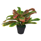 40cm Artificial Codiaeum Multicoloured Plant