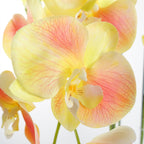 110cm Artificial Yellow Orchid Plant Artifcial REAL TOUCH flowers