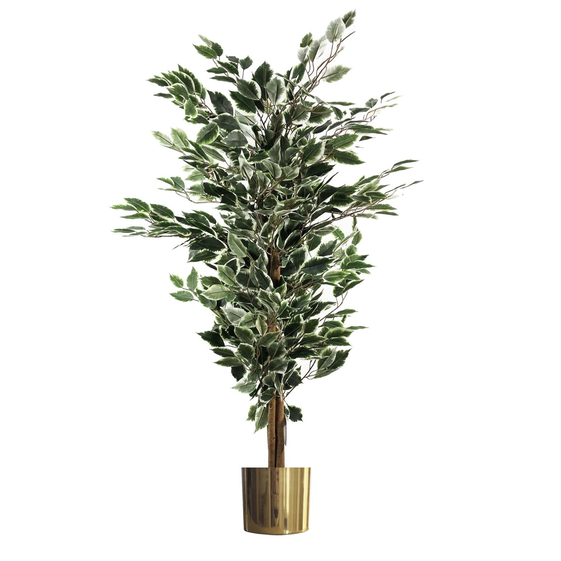 130cm Artificial Variegated White/Green Bushy Ficus Tree Gold Planter