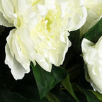 80cm Artificial Cream Peony Stem