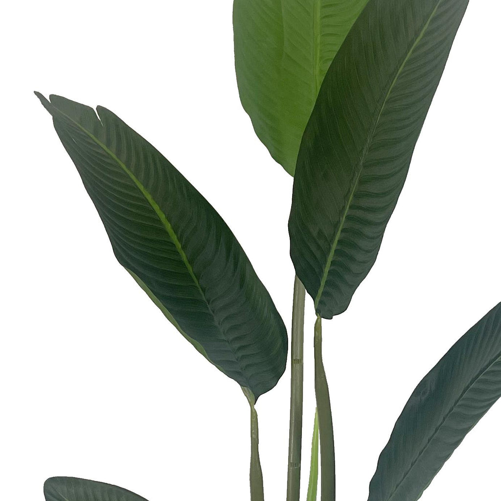 120cm Artificial UV Traveller Banana Palm Tree