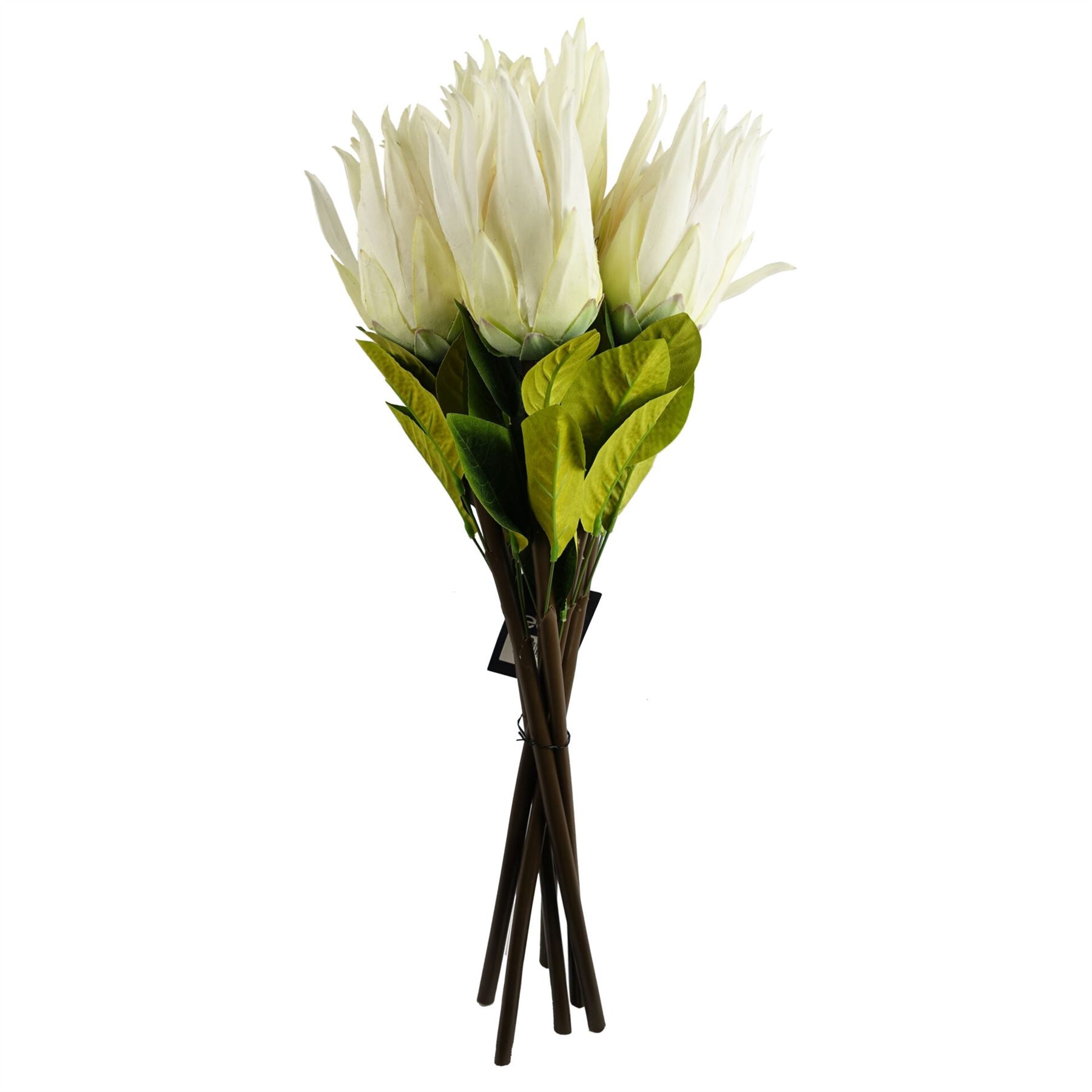 65cm Artificial Protea Sugarbush Flower Stem White