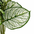 60cm Artificial Caladium Stem Plant Variegated Green White Foliage