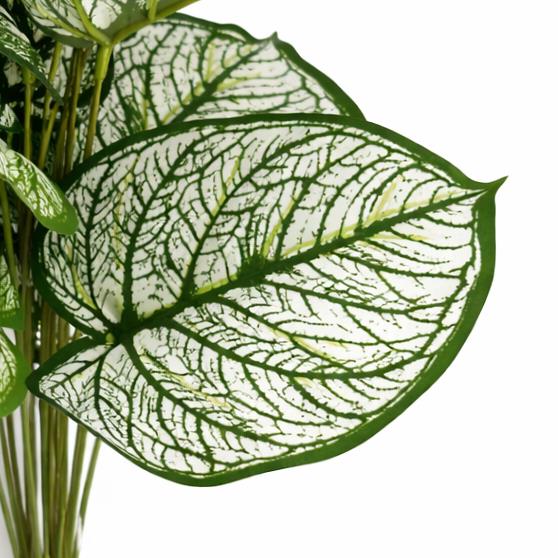 60cm Artificial Caladium Stem Plant Variegated Green White Foliage