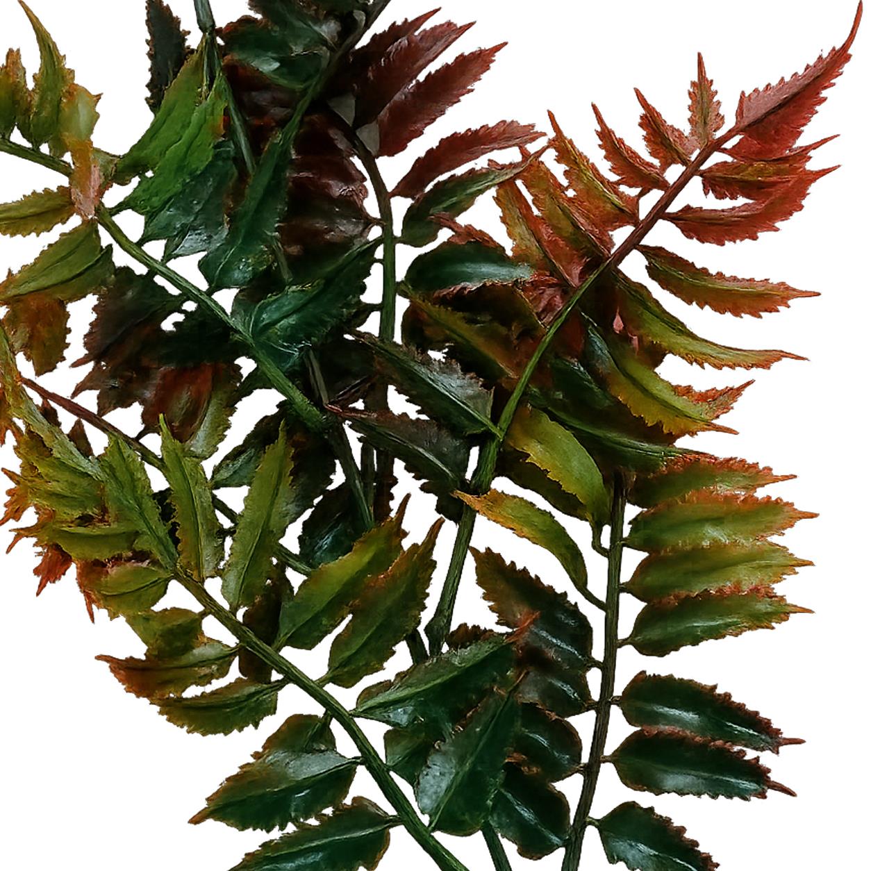 50cm Artificial Fern Spray Stem Autumn Orange