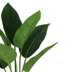 45cm Artificial Aureum Plant