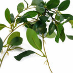 55cm Artificial Trailing Ficus Vine Stem