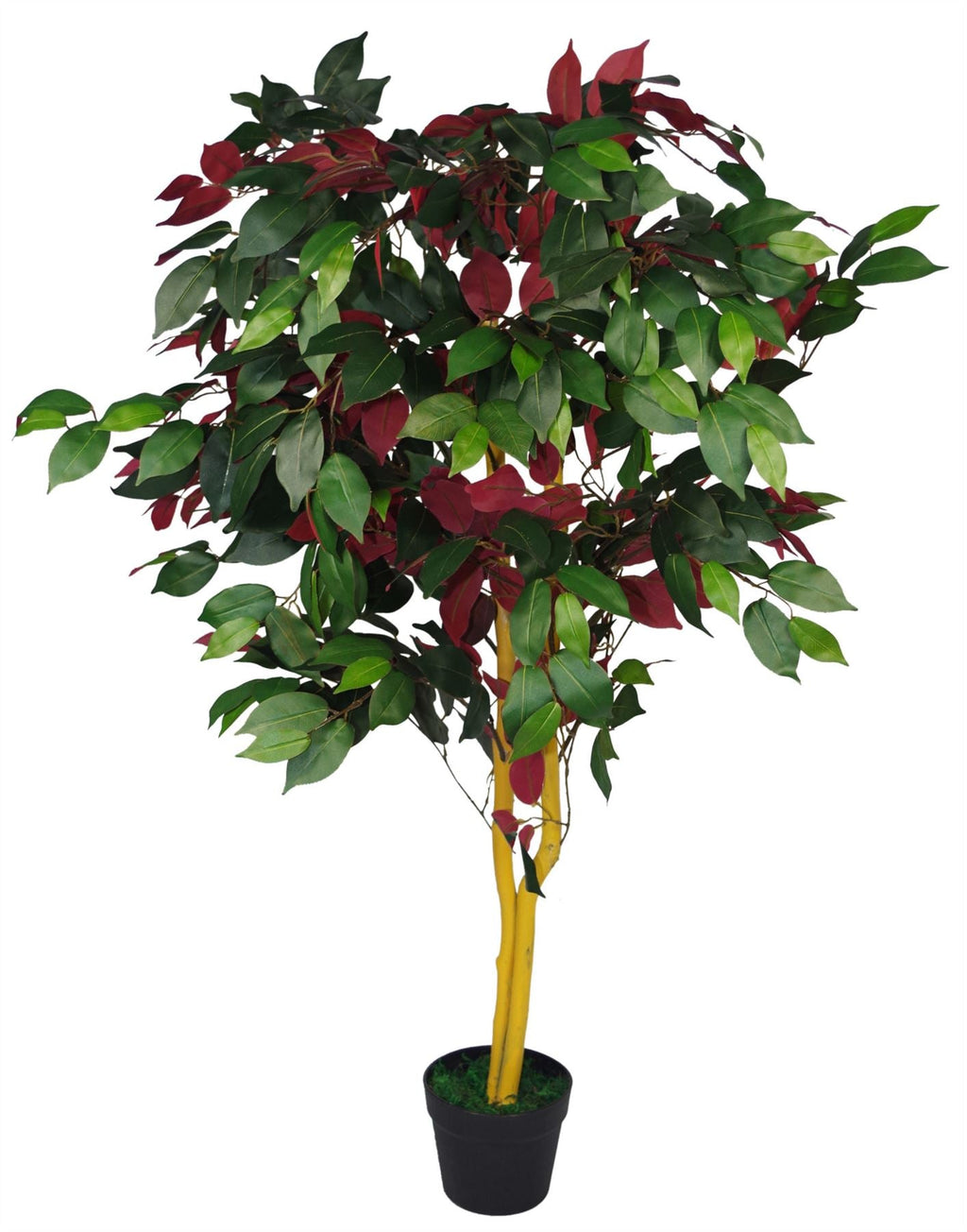 120cm Artificial Capensia Tree Ficus Plant Extra Large