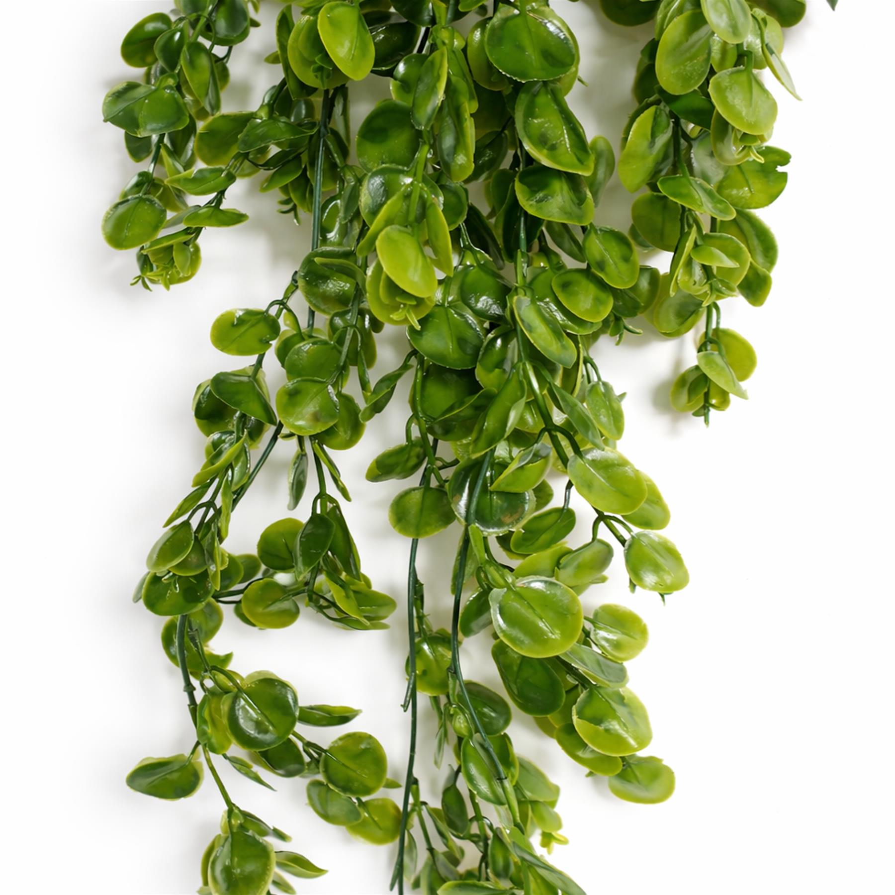 75cm Artificial Trailing Round Leaf Foliage Plant Classic Gloss Green