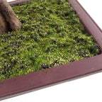 Artificial Red Maple Bonsai Tree 50cm