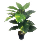 60cm Artificial Devil's Ivy Plant