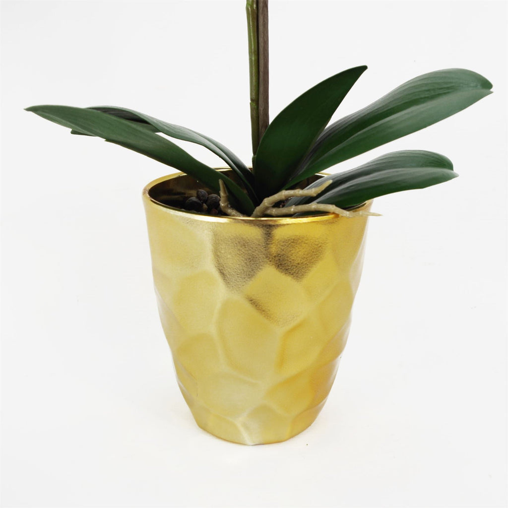 54cm Artificial Orchid Plant White with Gold Pot