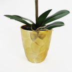 54cm Artificial Orchid Plant White with Gold Pot