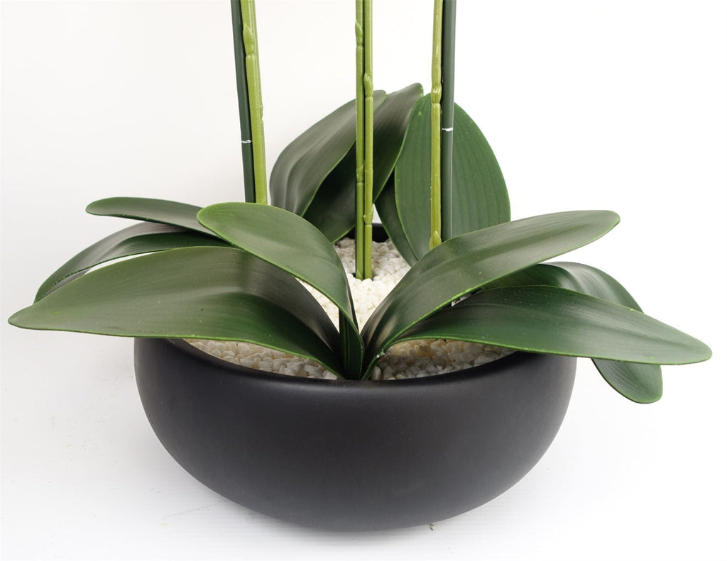 Artificial 60cm Orchid White Black Ceramic Planter