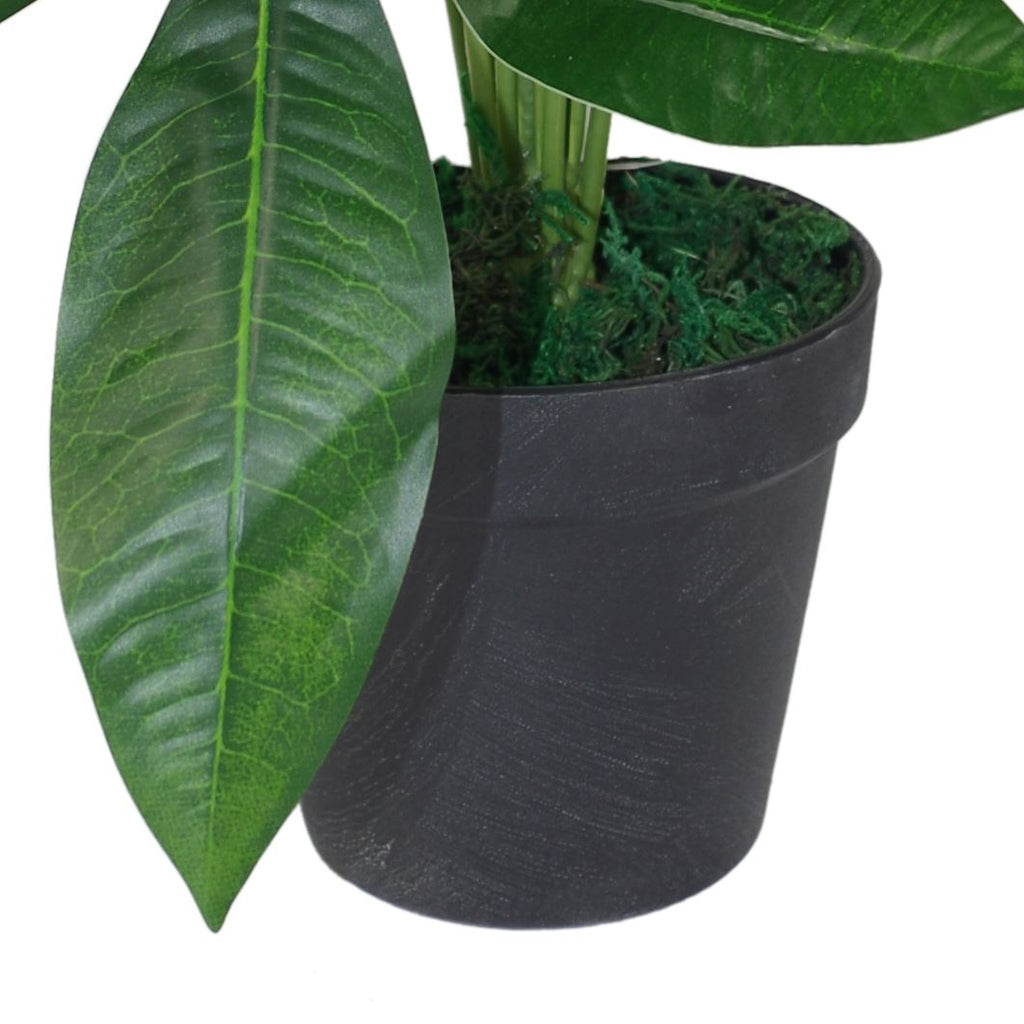 50cm Artificial Money Tree Plant Pachira
