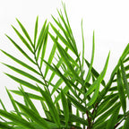 40cm Artificial Bamboo Palm Bush Plant