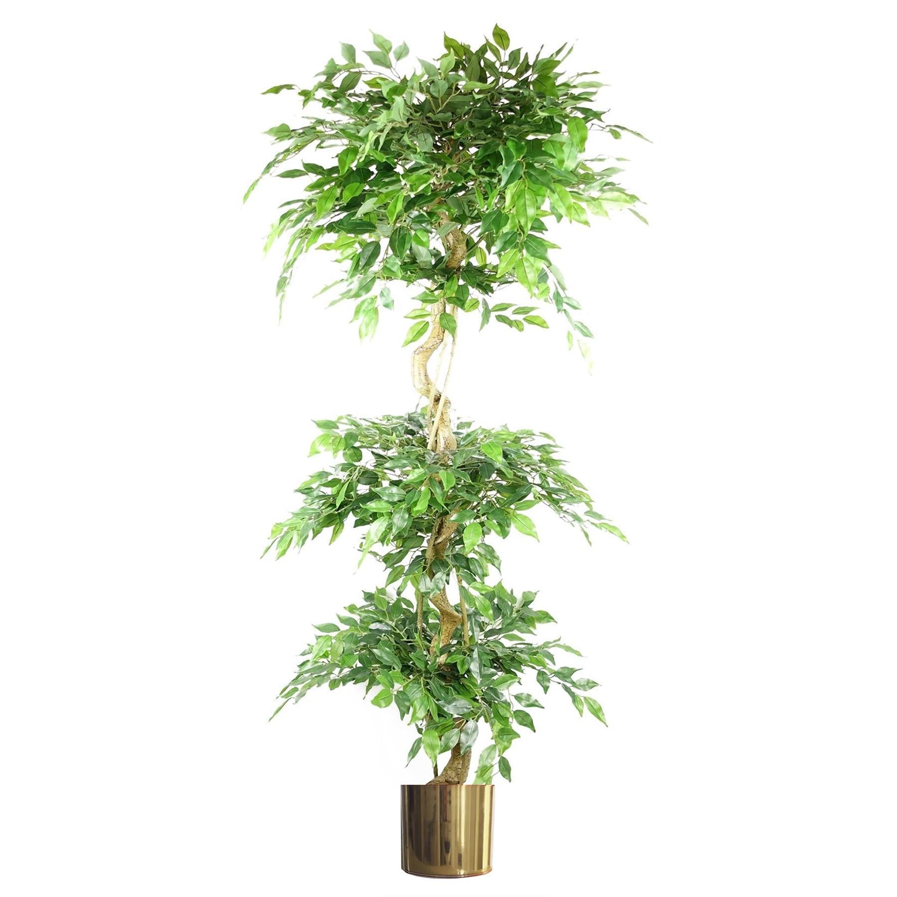 180cm Artificial Fruticosa Ficus Tree Triple Ball Topiary Gold Planter