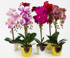 50cm Phalaenopsis Orchid Artificial Purple White Gold Pot