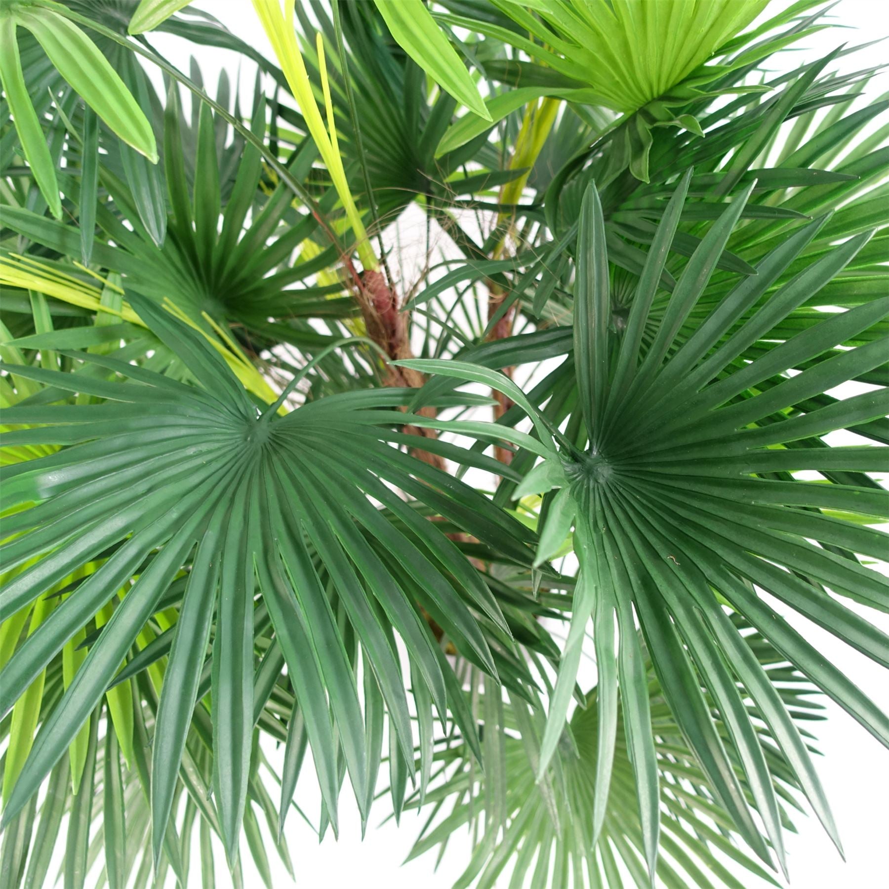 Artificial 90cm Fan Palm Tree