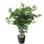60cm Artificial Ficus Tree Large Bushy Shape