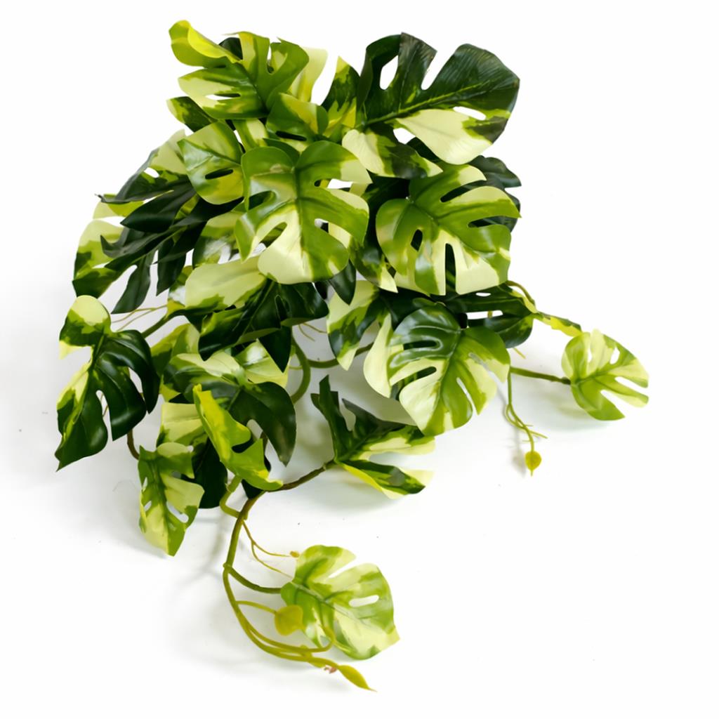 25cm Artificial Trailing Variegated Monstera Vine Plant