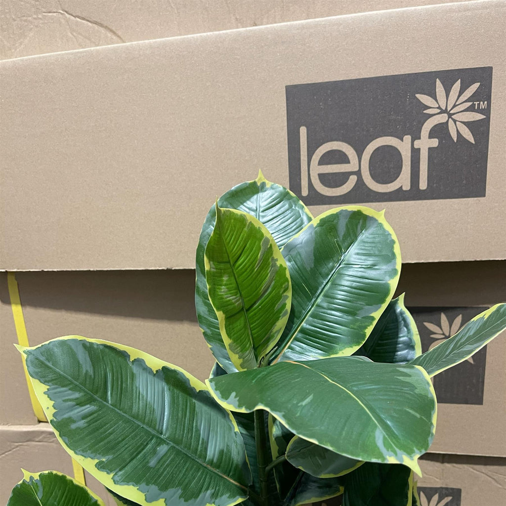 120cm Artificial Rubber Tree