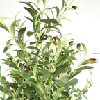 160cm Artificial Olive Tree 72 Olives