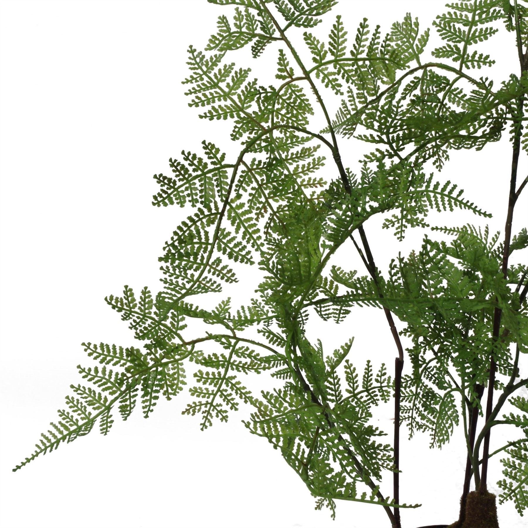 Artificial 150cm Natural Moss Base Fern Foliage Plant