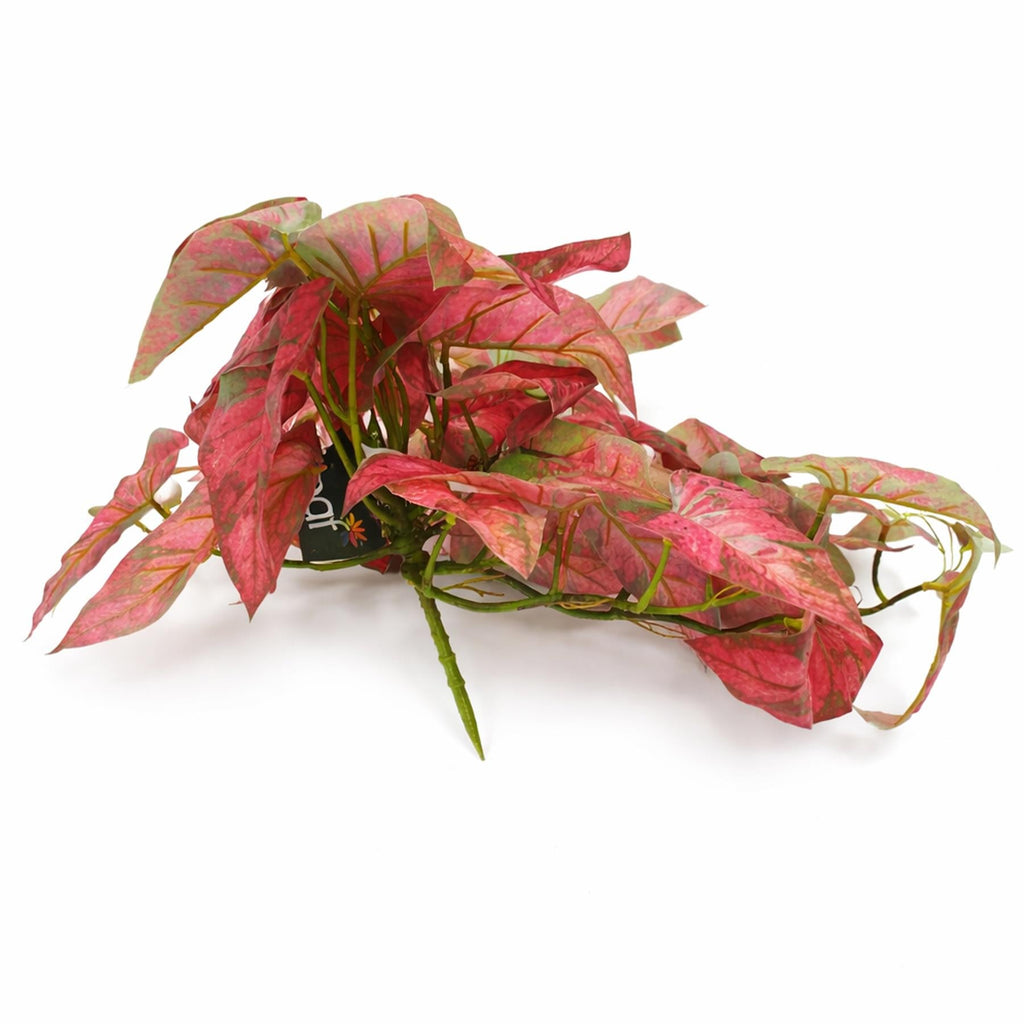 30cm Artificial Trailing Red Caladium
