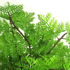 Faux 30cm Artificial Potted Lady Fern