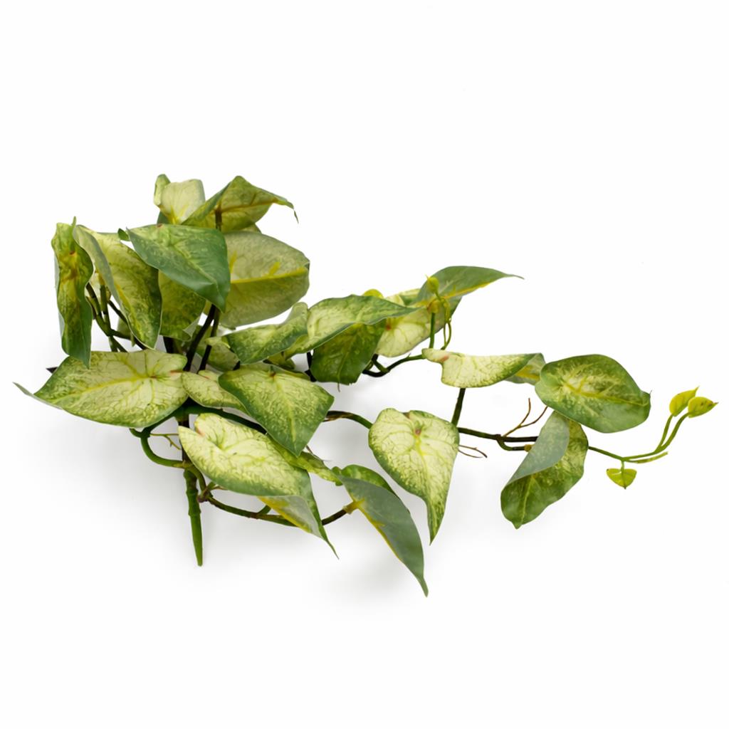 25cm Artificial Trailing Variegated Caladium Vine Plant Light Green