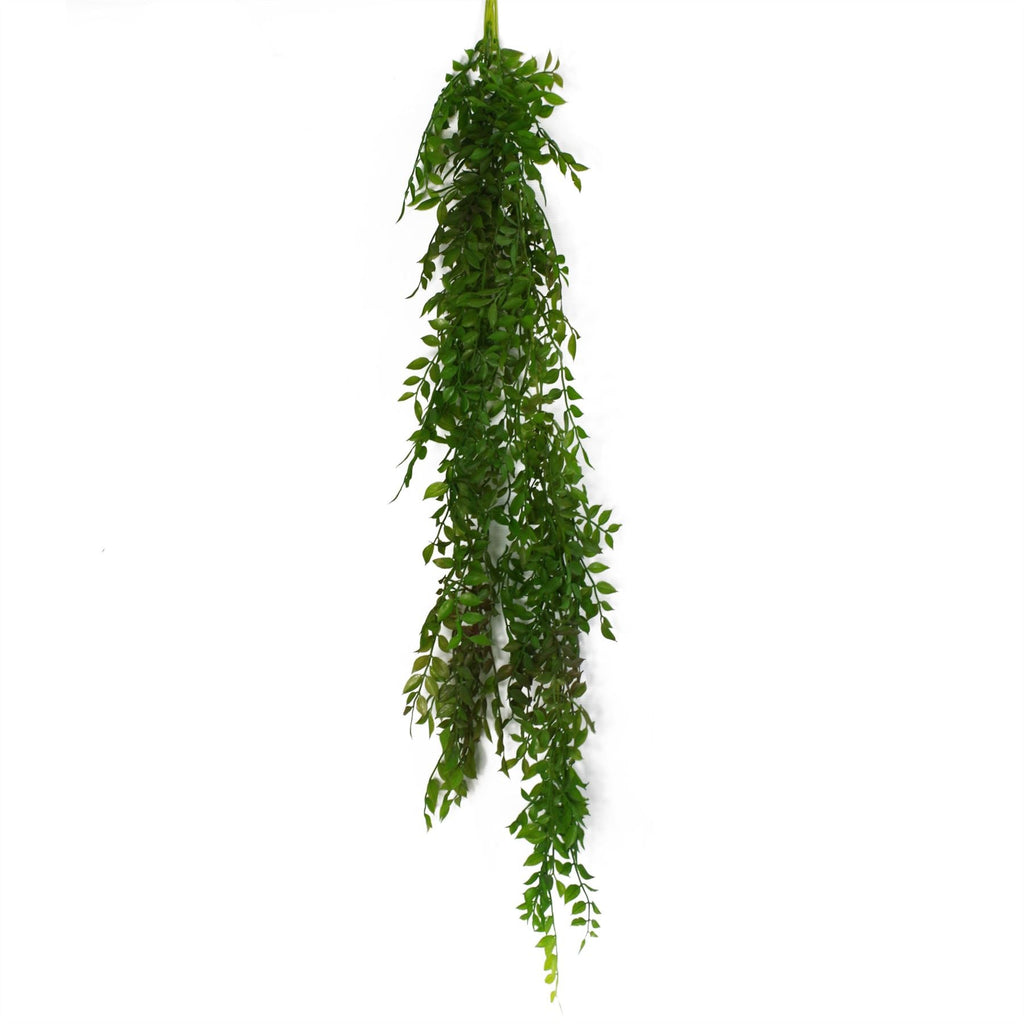 100cm Artificial Hanging String of Pearls Fern Plant Dark Green