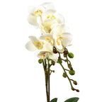 54cm Artificial Orchid Plant White with Gold Pot