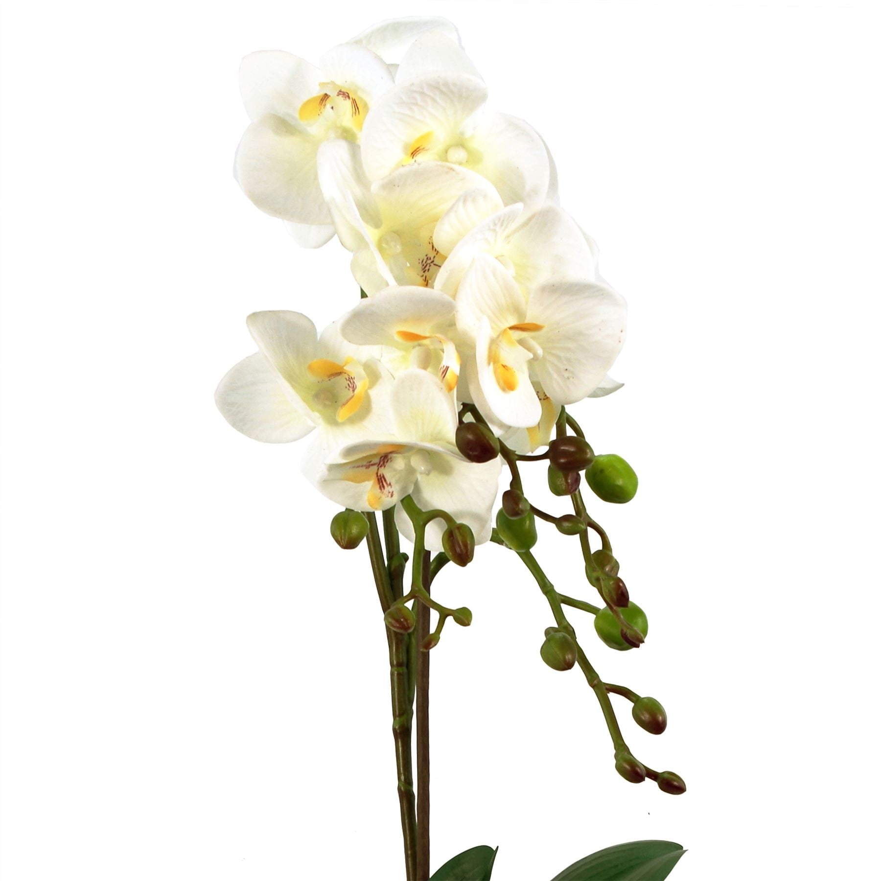 54cm Artificial Orchid Plant White with Gold Pot