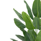 200cm Traveller Palm Artificial Tree